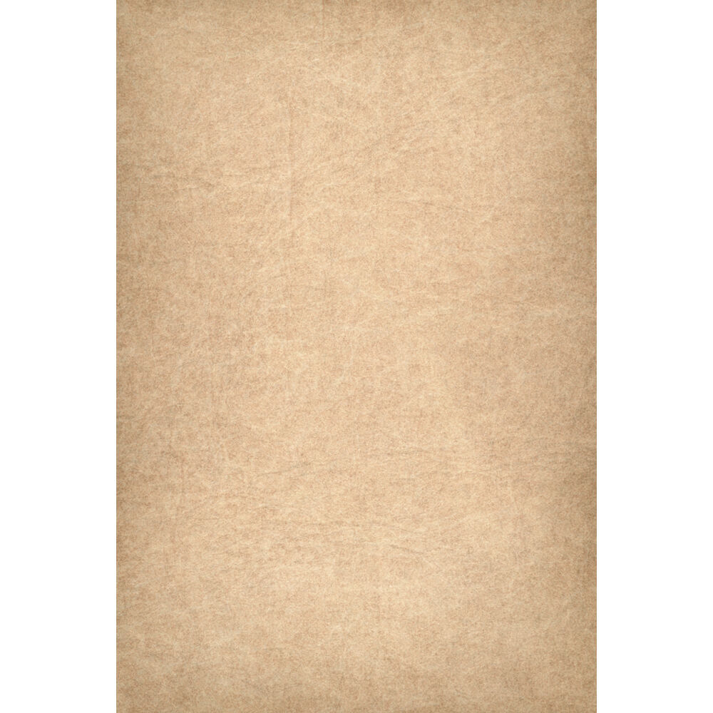 EASIFRAME® Cyclorama Fabric Curved Frame Skin (Tan)