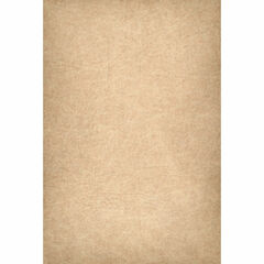 EASIFRAME® Cyclorama Fabric Curved Frame Skin (Tan)