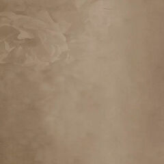 Click Props Backdrops Rusty Penny Backdrop (8.92 x 8.92')