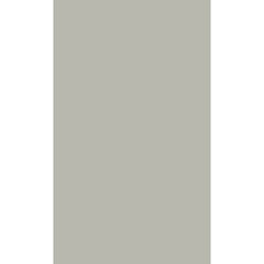 Click Props Backdrops Pastels & Primes ProFabric Backdrop (8.92 x 15' Rectangle, Barley)