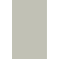 Click Props Backdrops Pastels & Primes ProFabric Backdrop (8.92 x 15' Rectangle, Slate)