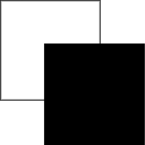 Savage Collapsible/Reversible Background (6 x 7, Black/White)