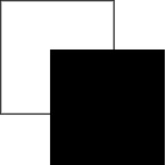 Savage Collapsible/Reversible Background (6 x 7', Black/White)