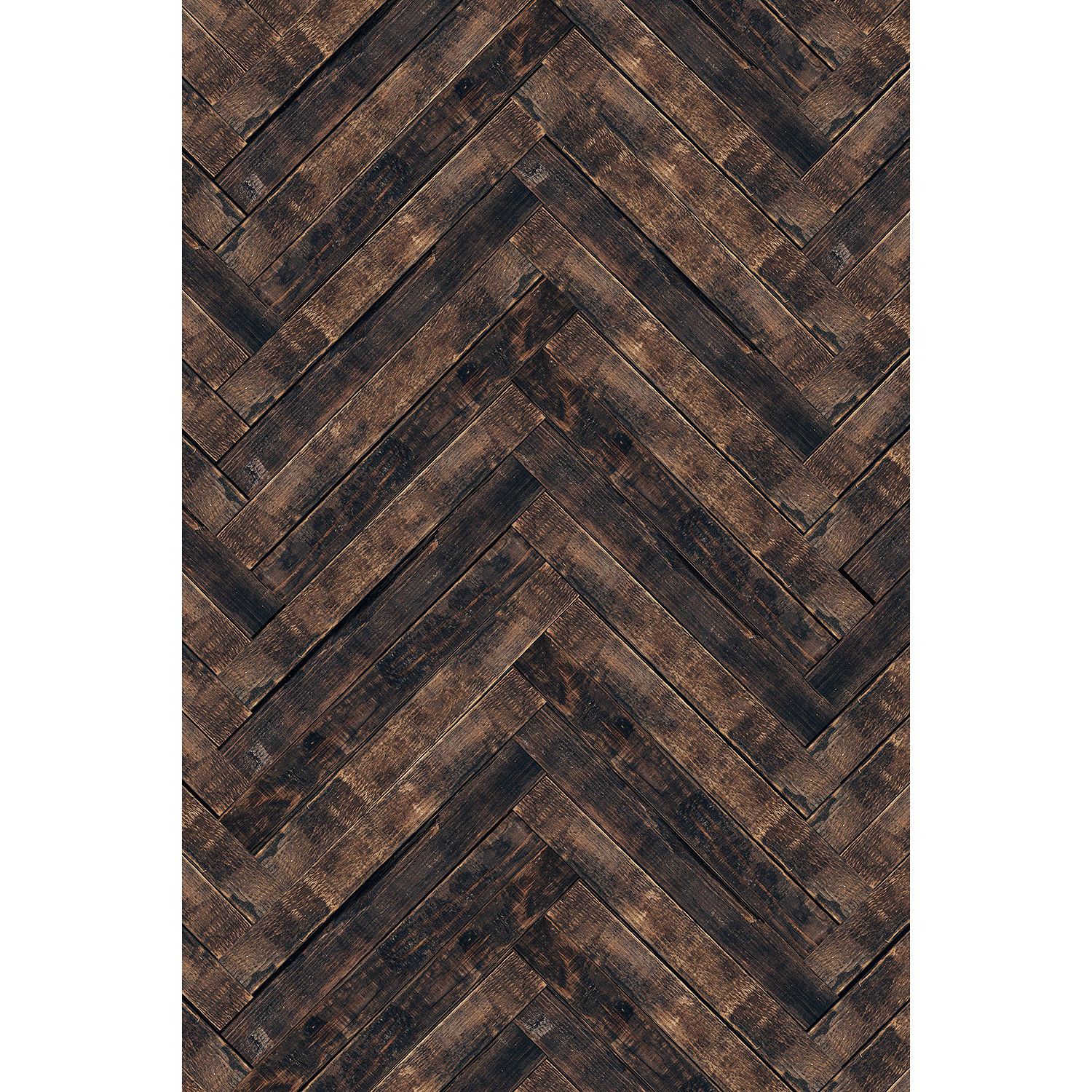 Flotone Graduated Background - 31x43 - Ultramarine
