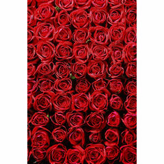 Flotone Graduated Background - 31x43