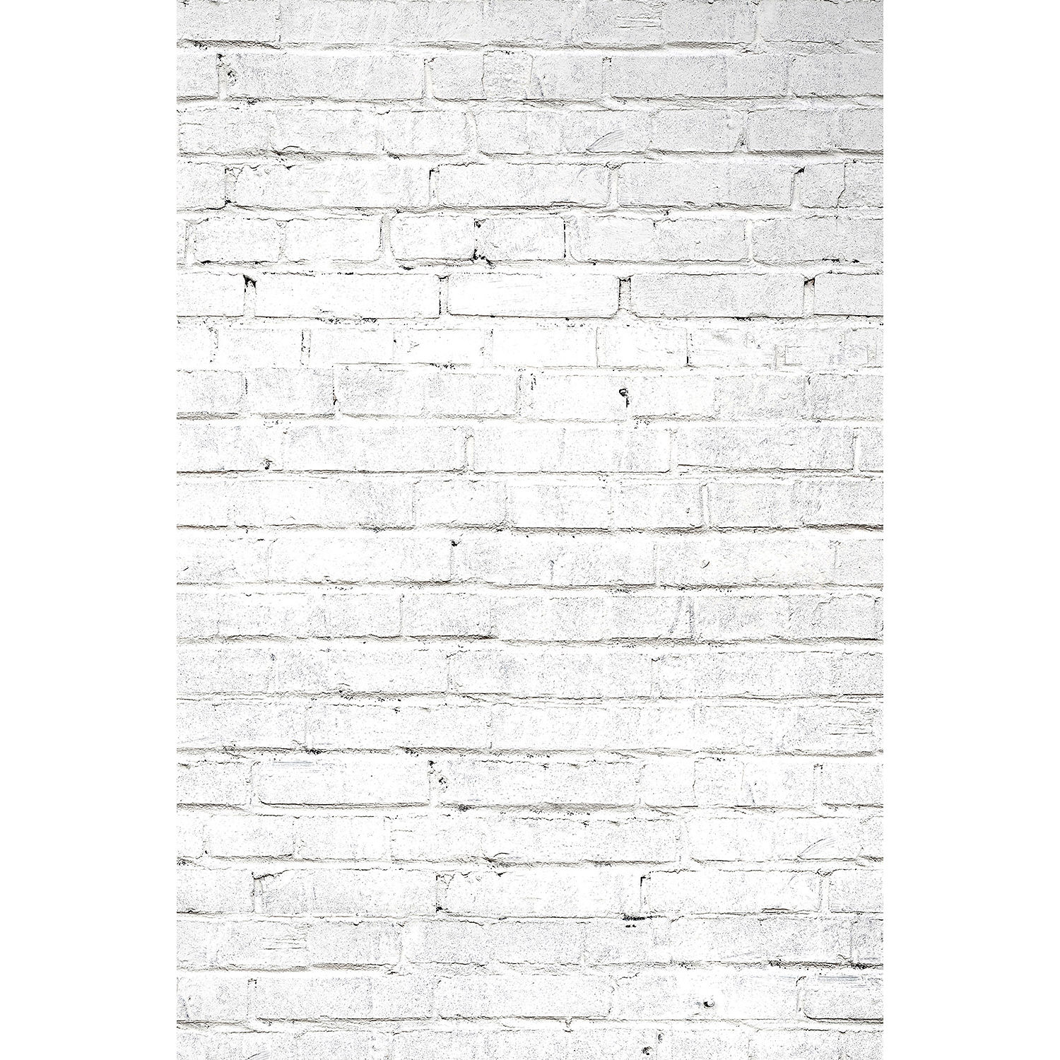 Savage Romantic Roses Printed Vinyl Backdrop (5x7)