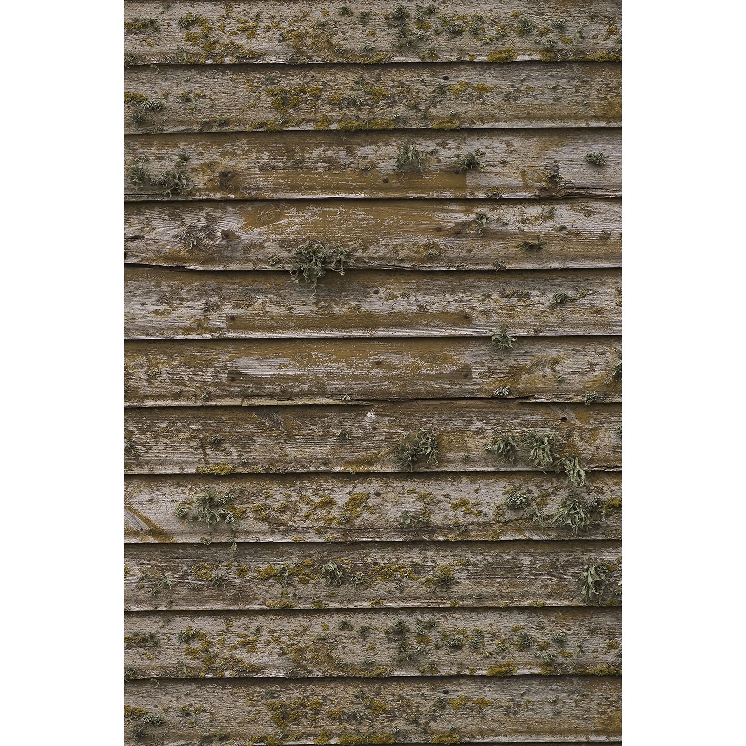 Savage White Walkway Printed Vinyl Backdrop (5x7)