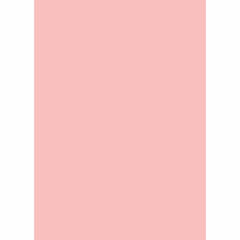 Westcott Solid Color Matte Vinyl Backdrop with Grommets (5 x 7', Gray)