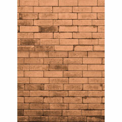 Westcott Western Wood Pattern Matte Vinyl Backdrop with Grommets (5 x 7', Oak)