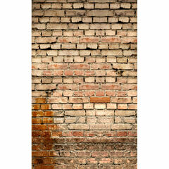Click Props Backdrops Forest Path Backdrop (5 x 8')