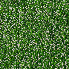 Click Props Backdrops Parchment Flower Pop Backdrop (5 x 5')