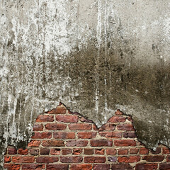 Click Props Backdrops Rembrandt Brown Backdrop (5 x 5')