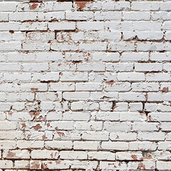 Click Props Backdrops Falling Hearts Backdrop (5 x 5')