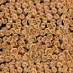Click Props Backdrops Newspaper Wall Pink Backdrop (5 x 5')