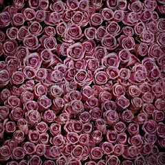 Click Props Backdrops Mono Octagon Backdrop (5 x 5')