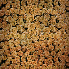 Click Props Backdrops Mottled Pink Backdrop (5 x 5')