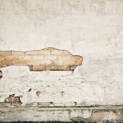 Click Props Backdrops Wood Pale Backdrop (5 x 5')