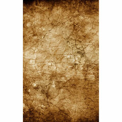 Click Props Backdrops Wood Pale Backdrop (7 x 9.5')
