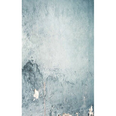 Click Props Backdrops Silver Wall Backdrop (5 x 8')