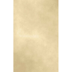 Click Props Backdrops Tan Wall Backdrop (5 x 8')