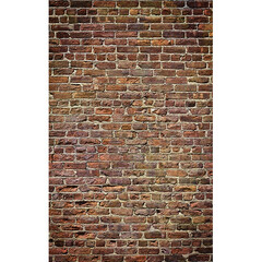 Click Props Backdrops Fantasy Forest Backdrop (5 x 8')