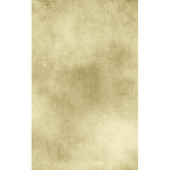 Click Props Backdrops Wallpapered Panels Neutral Backdrop (5 x 8')
