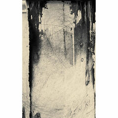 Click Props Backdrops Winter Forest Backdrop (5 x 8')