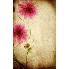 Click Props Backdrops Two Tone Door Backdrop (5 x 8')
