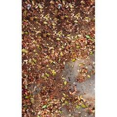 Click Props Backdrops Sepia Driftwood Backdrop (5 x 8')