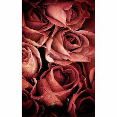 Click Props Backdrops Floral Swirls Blue Backdrop (5 x 5')