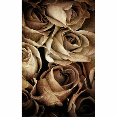 Click Props Backdrops Metal Red Backdrop (5 x 8')