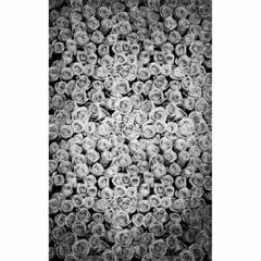 Click Props Backdrops Concrete Big Crack Backdrop (5 x 8')