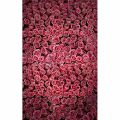 Click Props Backdrops Damask2 W Black Backdrop (5 x 8')