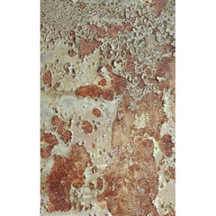 Click Props Backdrops Moss Floor Backdrop (5 x 8')