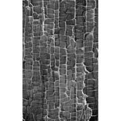 Click Props Backdrops Mono Zebra Backdrop (5 x 8')