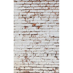 Click Props Backdrops Flower Painting Purple Backdrop (5 x 8')