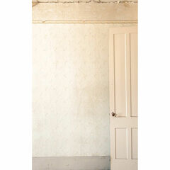 Click Props Backdrops Silver Hearts Backdrop (5 x 8')