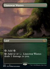 Llanowar Wastes (Borderless) - Foil