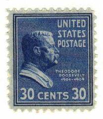 Theodore Roosevelt, blue