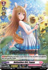 Helianthus Girl, Fawne - D-LBT03/060EN - C