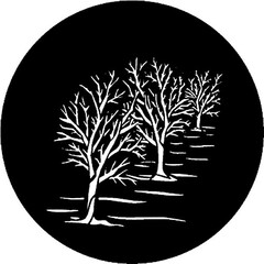 Rosco Image Effects Black and White Glass Gobo - #33623 - Reflections (86mm = 3.4
