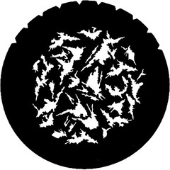 Rosco Standard Steel Gobo #7176 - Flames 2 - Size E 37.5mm
