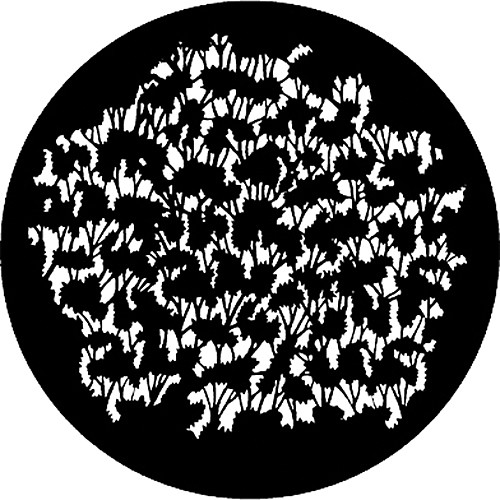 Rosco Standard Steel Gobo #7234 - Witch