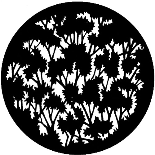 Rosco Standard Steel Gobo #7948 - Pumpkin