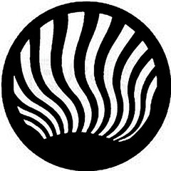 Rosco Standard Steel Gobo #7176 - Flames 2 - Size A 100mm