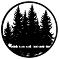 Rosco Standard Steel Gobo #7150 - Quartz - Size A 100mm