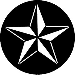 Rosco Standard Steel Gobo #7202 - Stars 2