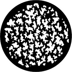 Rosco Standard Steel Gobo #7145 - Rose