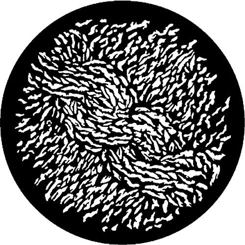 Rosco Standard Steel Gobo #7838 - Palm Tree