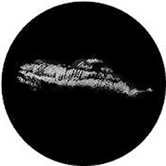 Rosco Standard Steel Gobo #7154 - Half Moon - Size M 66mm